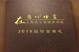 项目汇报片十