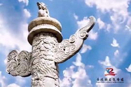 千纸鹤宣传片样片二