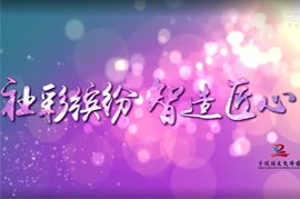 项目汇报片二