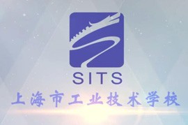项目汇报片三