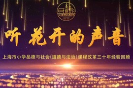 项目汇报片四