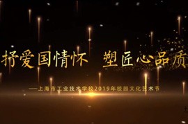 项目汇报片一