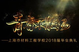 项目汇报片九
